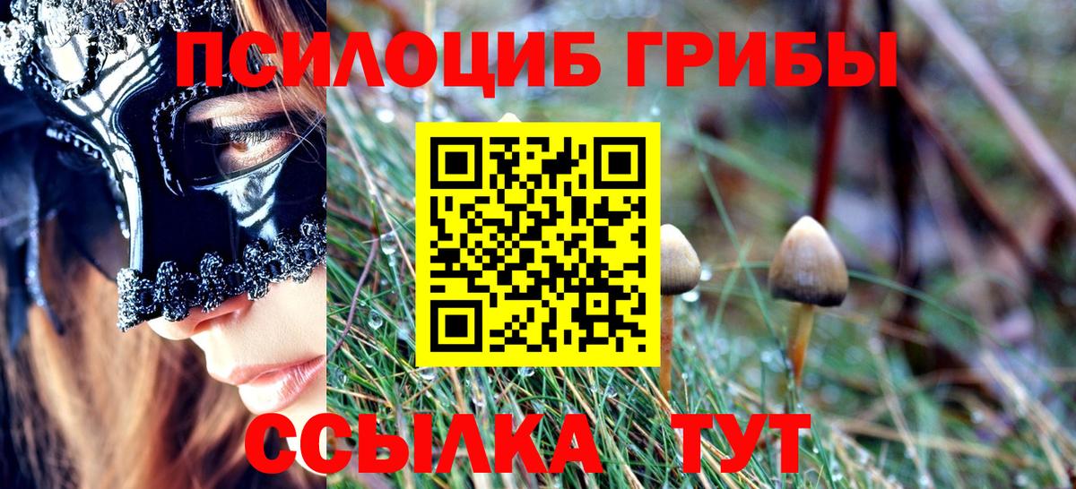 Псилоцибиновые грибы Cubensis Реж