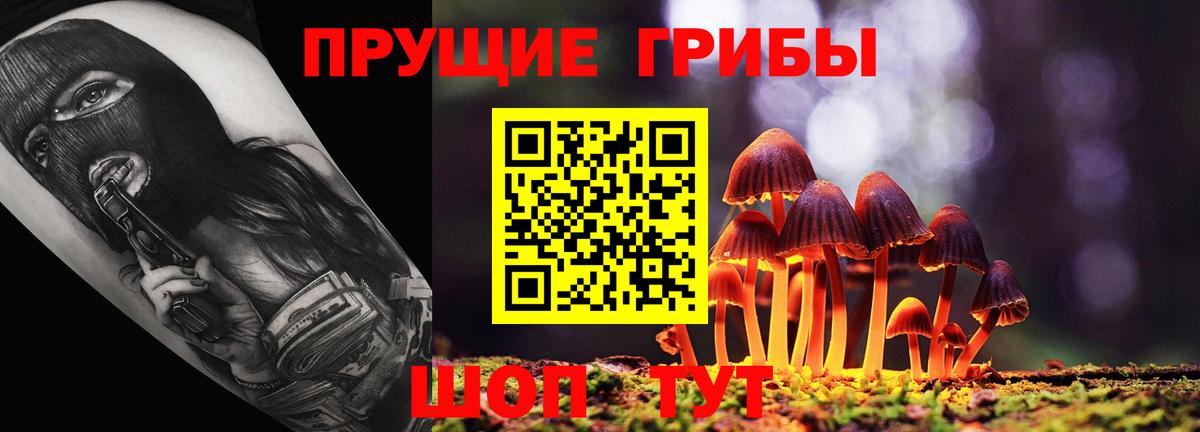 Реж  Галлюциногенные грибы GOLDEN TEACHER  Вход с VPN 